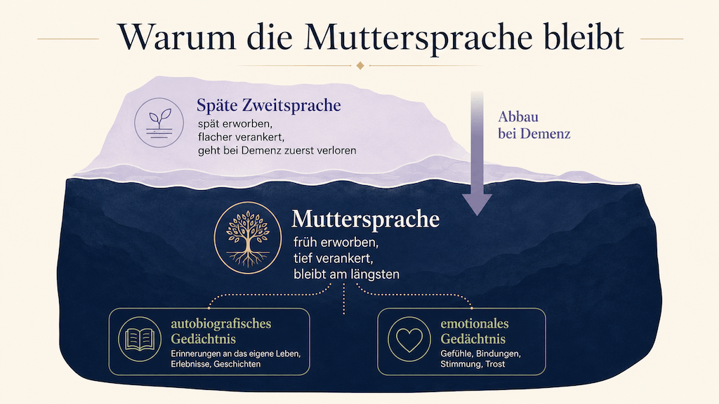 Grafik: Die Muttersprache ist tief verankert und mit Erinnerung und Gefühl verwoben, die Zweitsprache flacher — Demenz baut die Zweitsprache zuerst ab (KI-generiert) (KI-generiert)