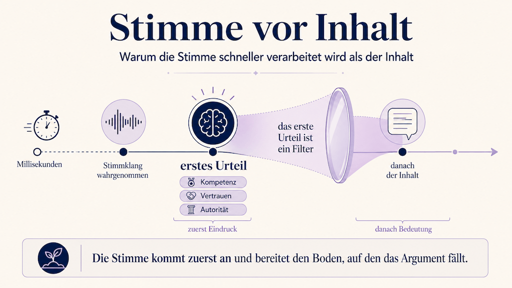 Zeitachse der Wahrnehmung: Stimme wird vor dem Inhalt verarbeitet und formt das erste Urteil