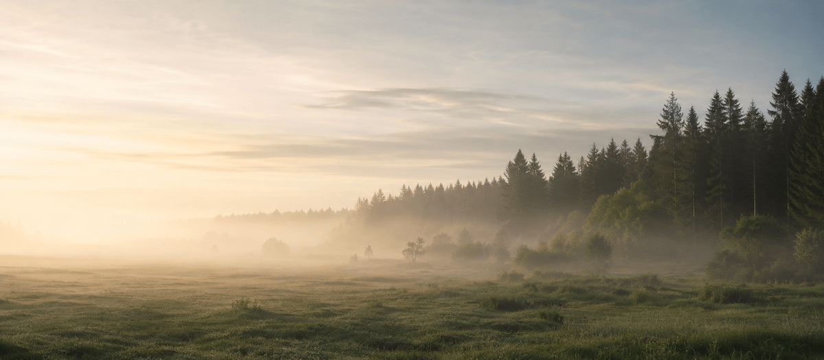 Nebel über weiter Landschaft im Morgenlicht (KI-generiert)